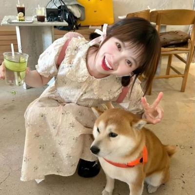 好好的时光